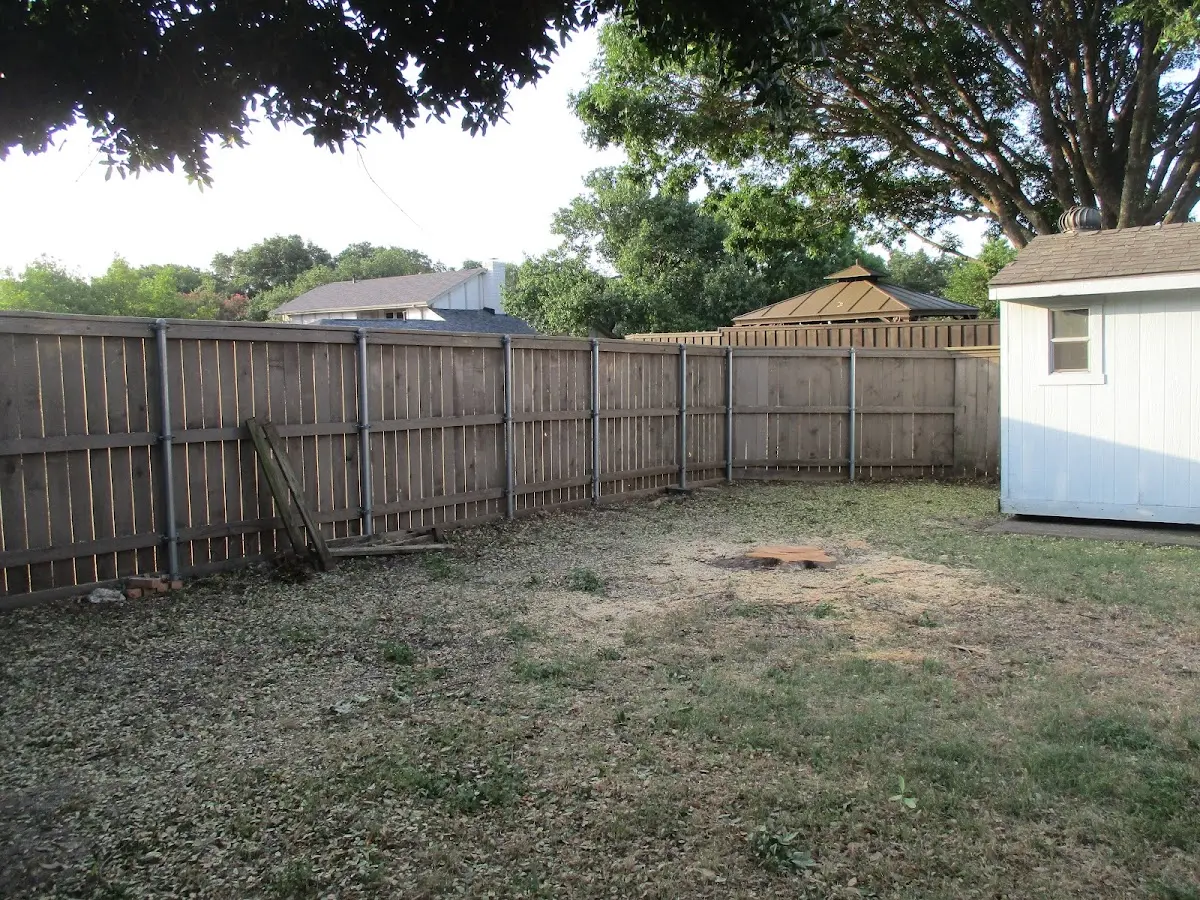 Cleared yard after professional tree removal in Arbovale